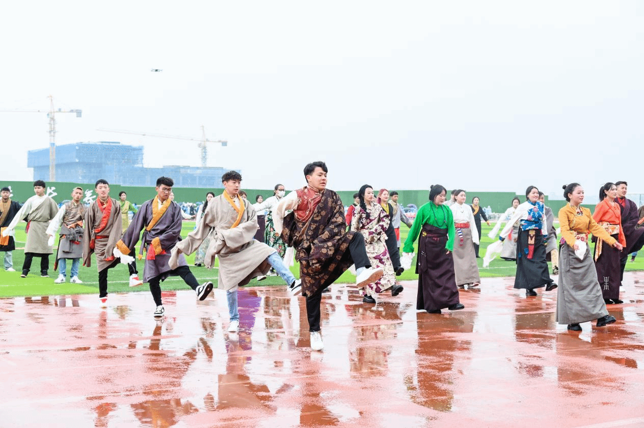 图片16.png 图片16.png