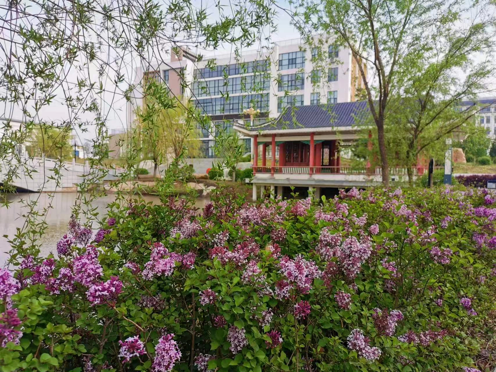 微信图片_202306050834211.jpg 微信图片_202306050834211.jpg