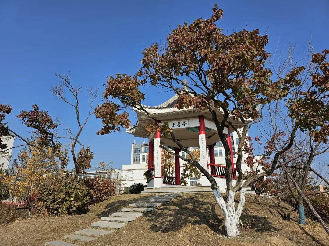 640.webp (2).jpg 640.webp (2).jpg